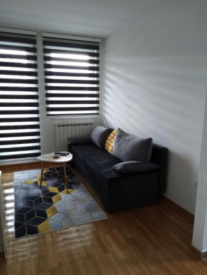 Apartman Dunjica Pale